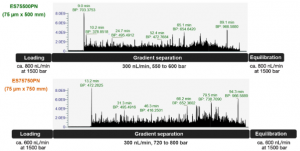 proteomik bawah atas