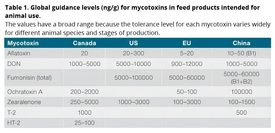 Global guidance levels (ng/g) for mycotoxins in feed products intended for animal use.